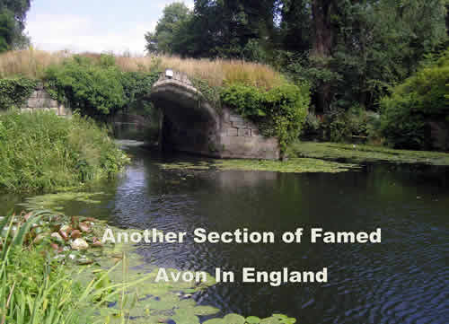 A section of the Private Waters of the Avon, an English Chalk Stream at Private Waters versus Public Waters at www.riverscientist.com