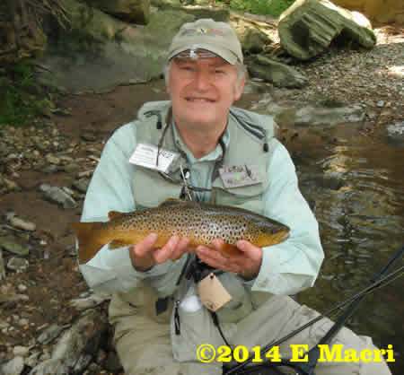 Wild Brown Trout from Private Waters at River keeper services at www.riverscientist.com