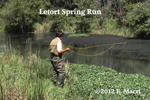 Fly Fishing the Letort from Fly Fishing Sites at www.riverscientist.com